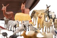 A Large Noah’s Ark with Lift-Off Cover and Large Number of Paired Animals