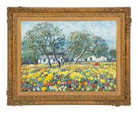 Flower Field in an Abruzzi Farmyard