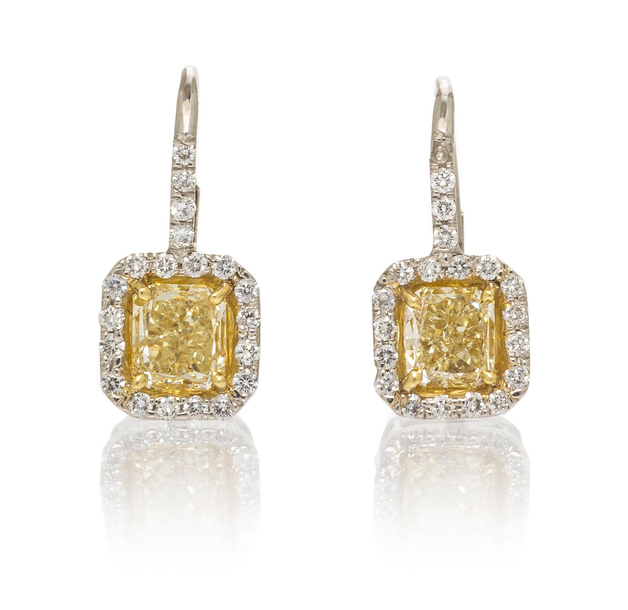 A Pair of Platinum, Yellow Gold, Fancy Color Diamond and Diamond Earrings, 2.60 dwts.