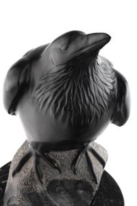 Raven