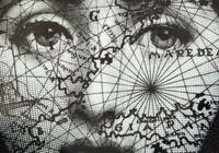 Two Porcelain Art Plates - Robert Longo Tiger Head 2 and Fornasetti Tema e Variazioni Motiv31 — 20th Century
