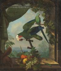 Parrots, Squirrel and Fruit on a Stone Ledge with Draped Curtain, an Extensive Landscape Beyond