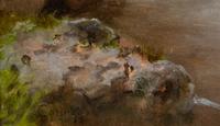 Bathing Nymphs