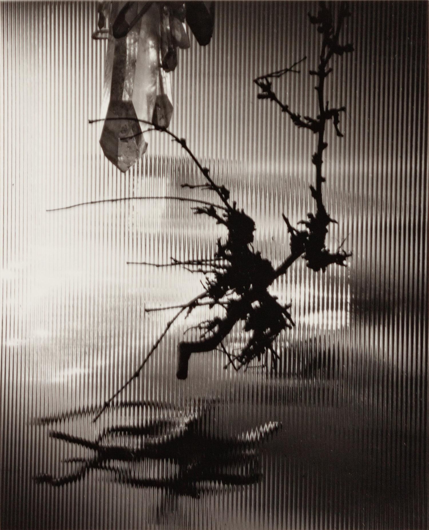 A group of four photographs ( Untitled #46; #56; #66; #86 ), 1948-1952 (printed later)