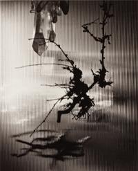 A group of four photographs ( Untitled #46; #56; #66; #86 ), 1948-1952 (printed later)