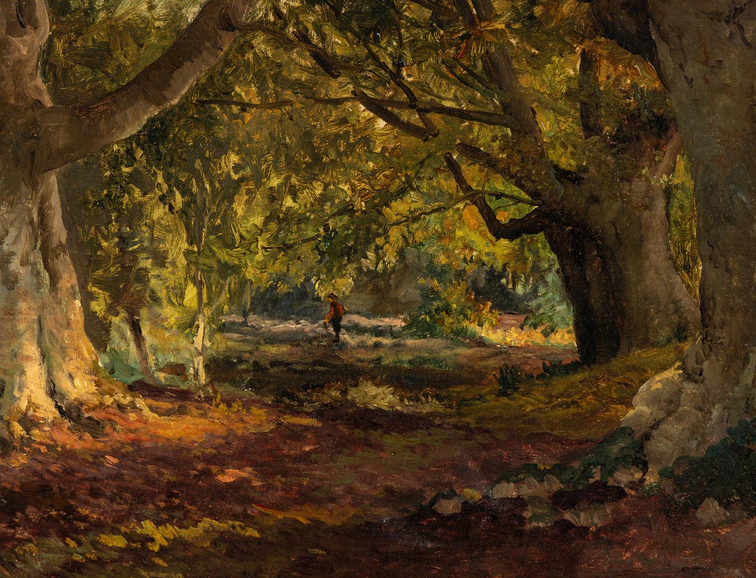 Burnham Beeches
