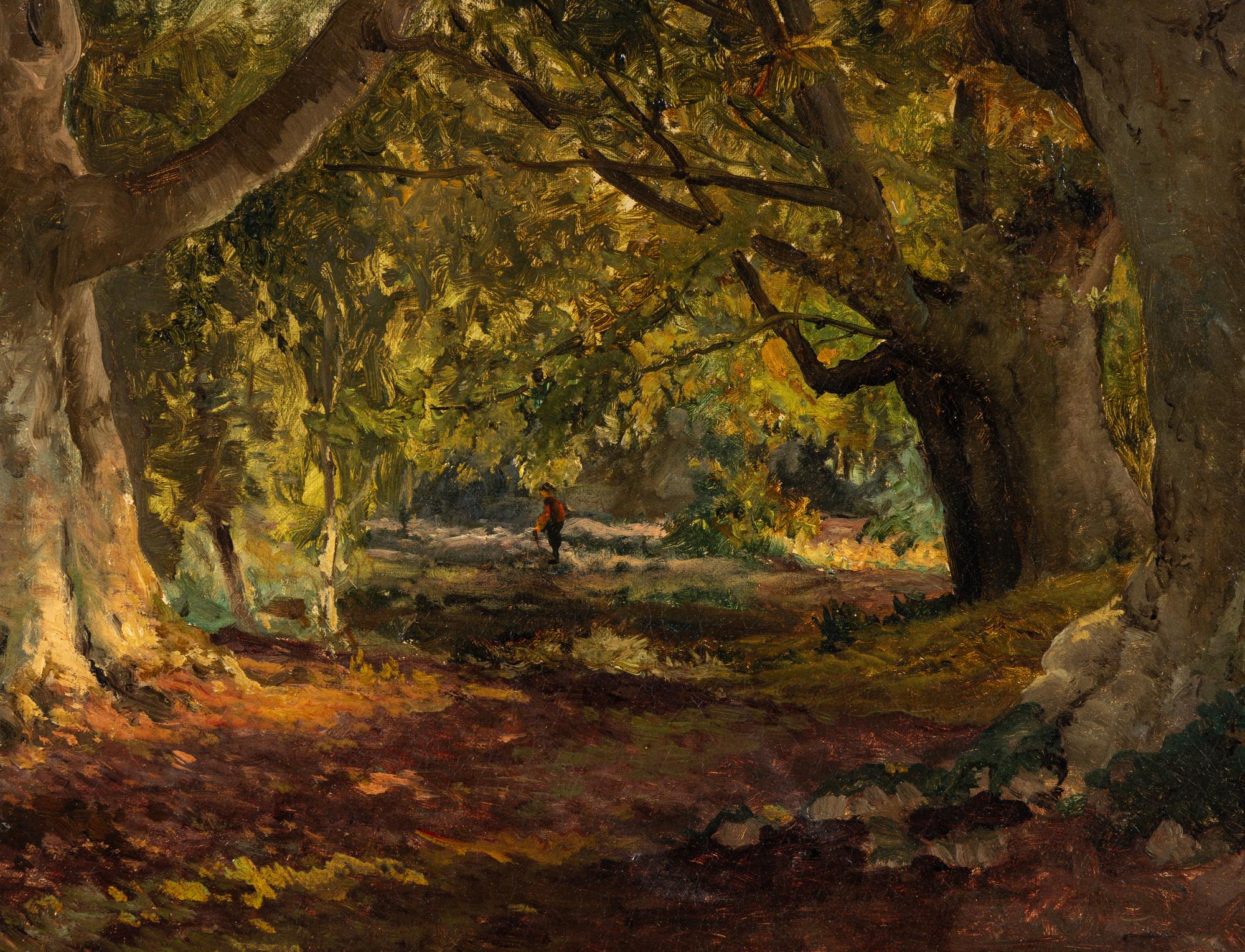 Burnham Beeches