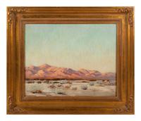 Evening on the Desert