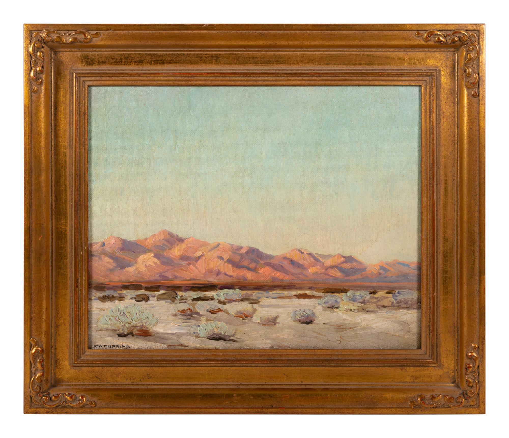 Evening on the Desert