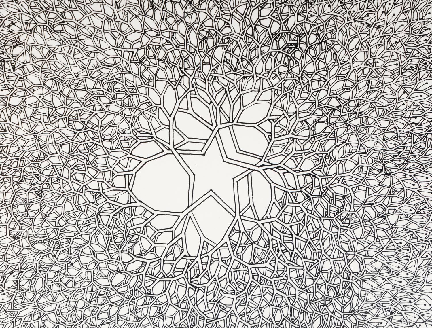 Desert Star (P.004, Tied wire tree with asymmetrical five pointed star in center branching to an enclosed square), 1987