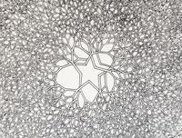 Desert Star (P.004, Tied wire tree with asymmetrical five pointed star in center branching to an enclosed square), 1987