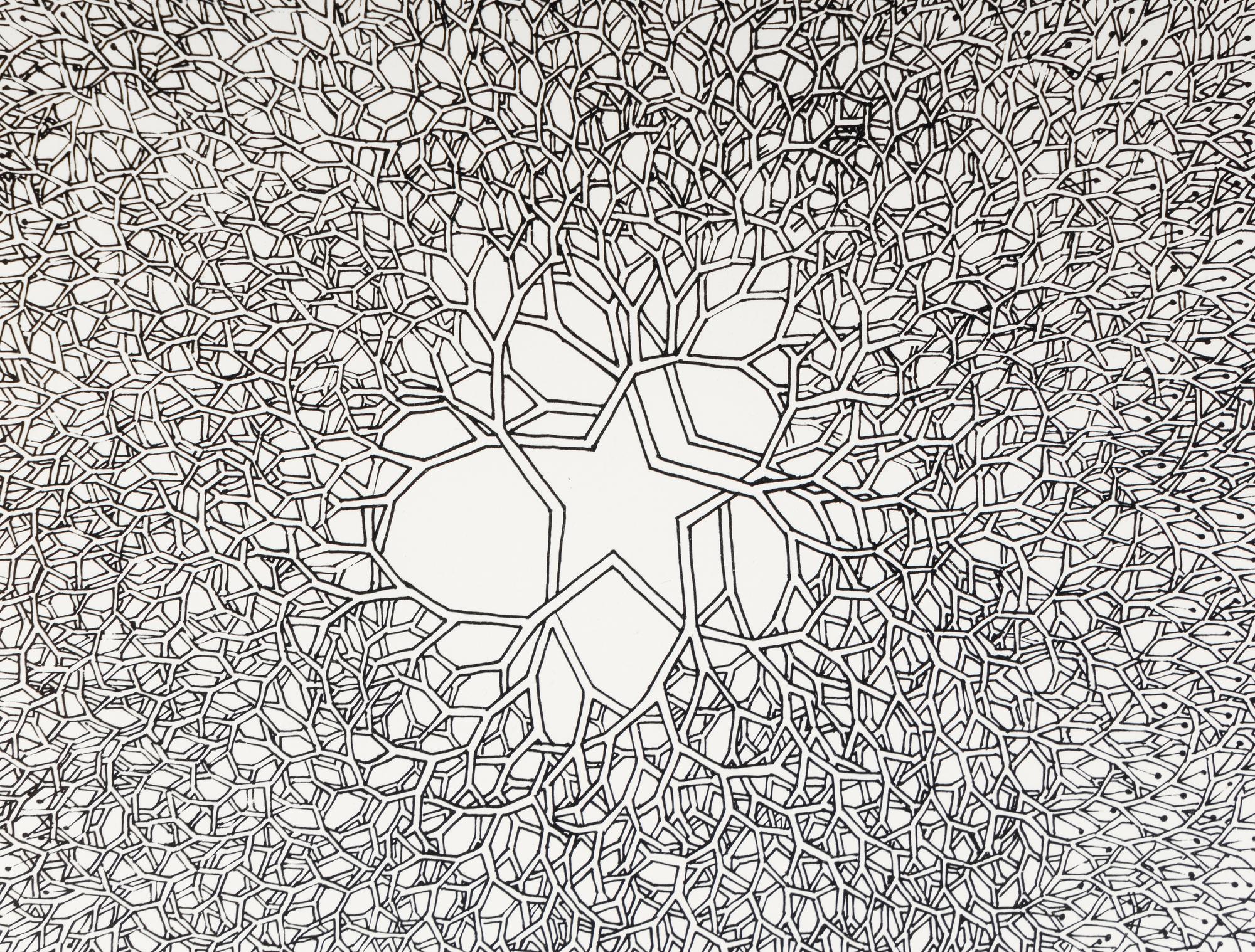 Desert Star (P.004, Tied wire tree with asymmetrical five pointed star in center branching to an enclosed square), 1987