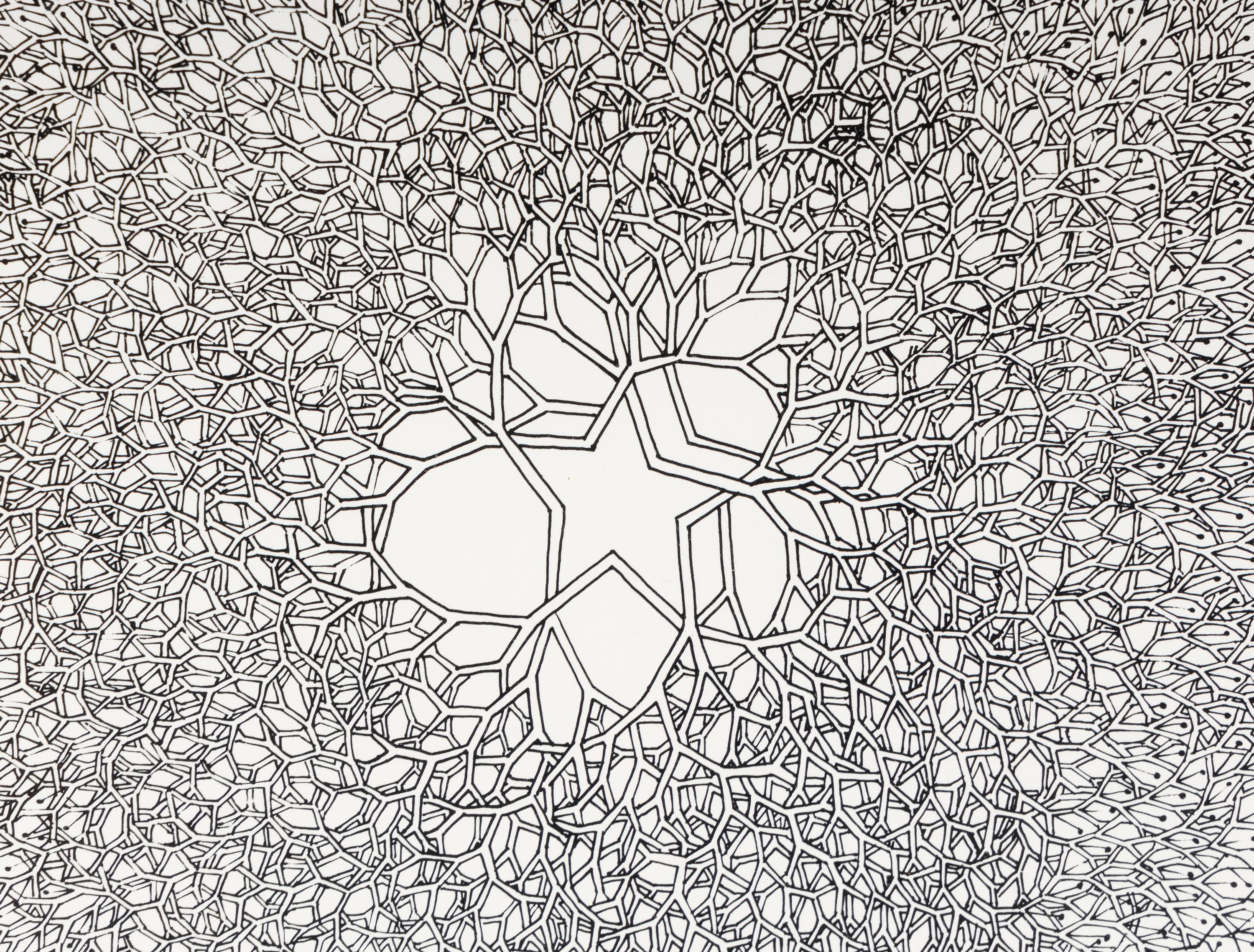 Desert Star (P.004, Tied wire tree with asymmetrical five pointed star in center branching to an enclosed square), 1987