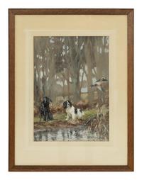 Springer Spaniels at Work and Anticipation (two works)