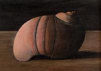 Untitled (Shell)