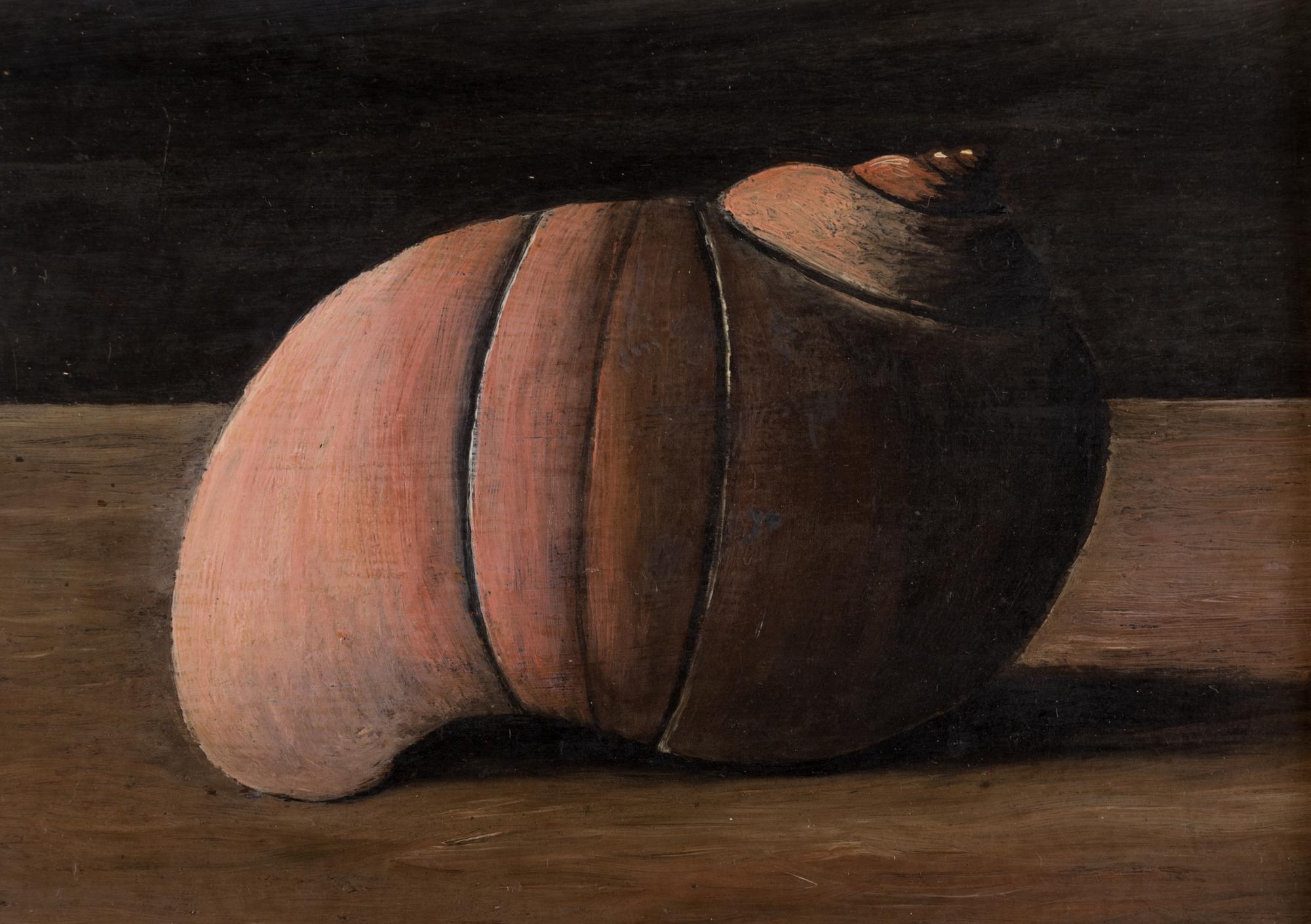 Untitled (Shell)