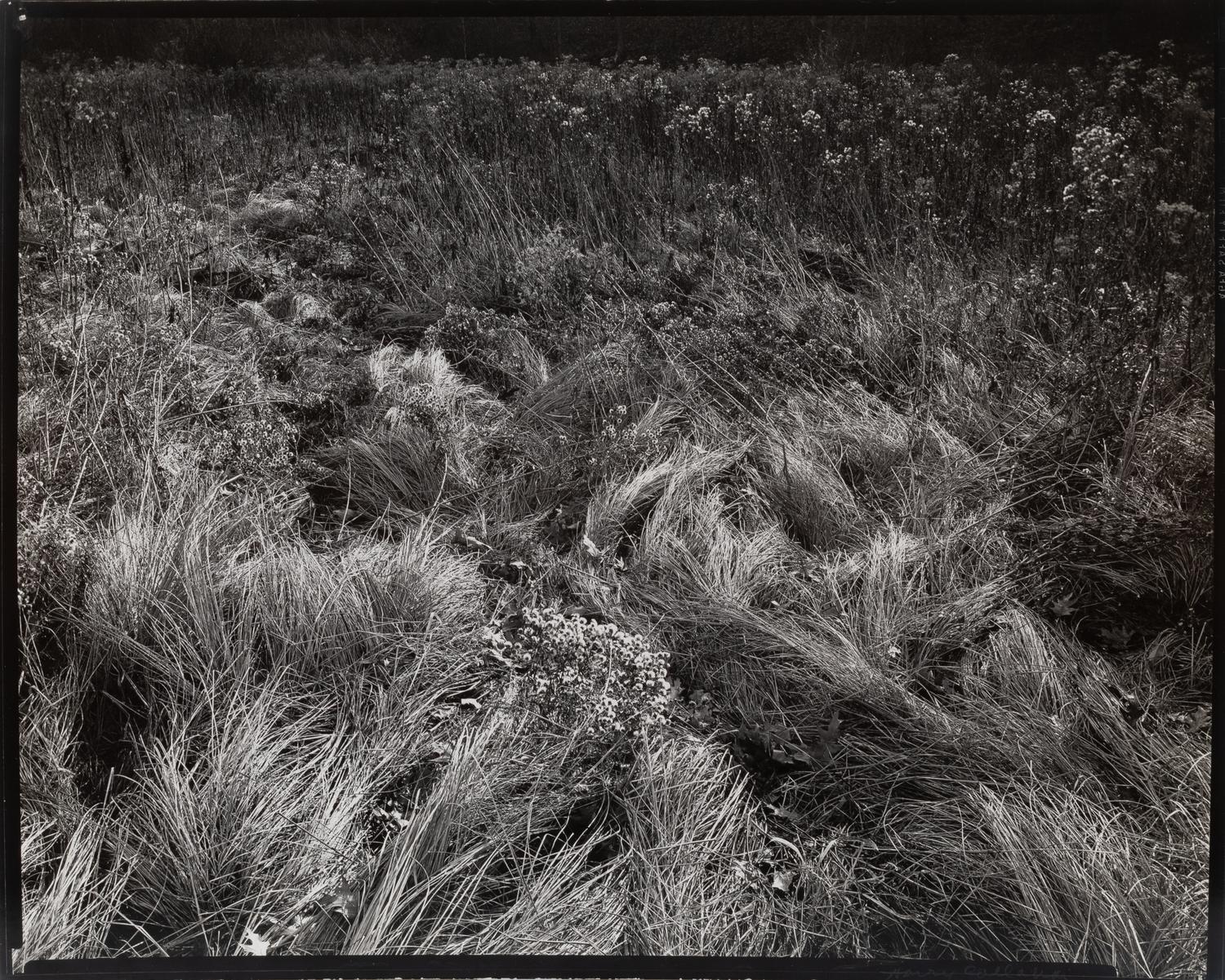 Michigan , 1941