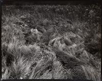 Michigan , 1941