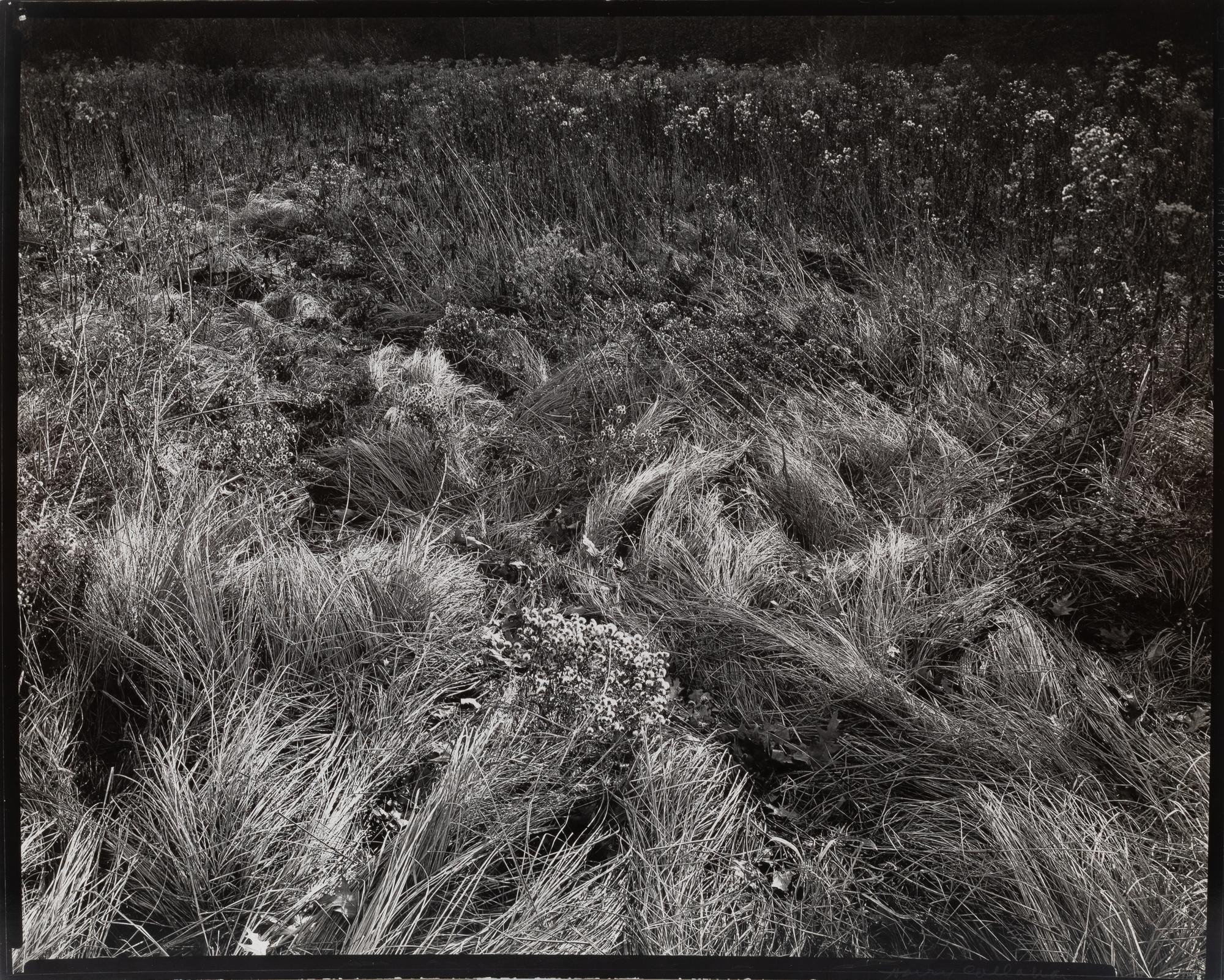 Michigan , 1941