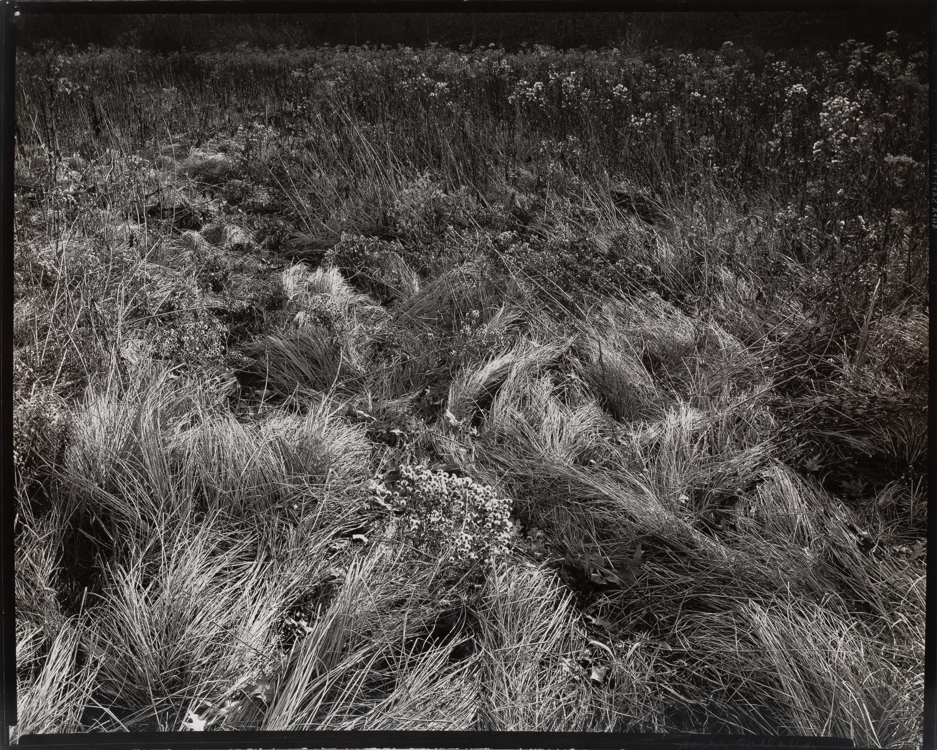 Michigan , 1941