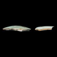 A Ru Ware and A Guan Ware Porcelain Fragment, Song Dynasty 宋 汝窯官窯瓷片各一