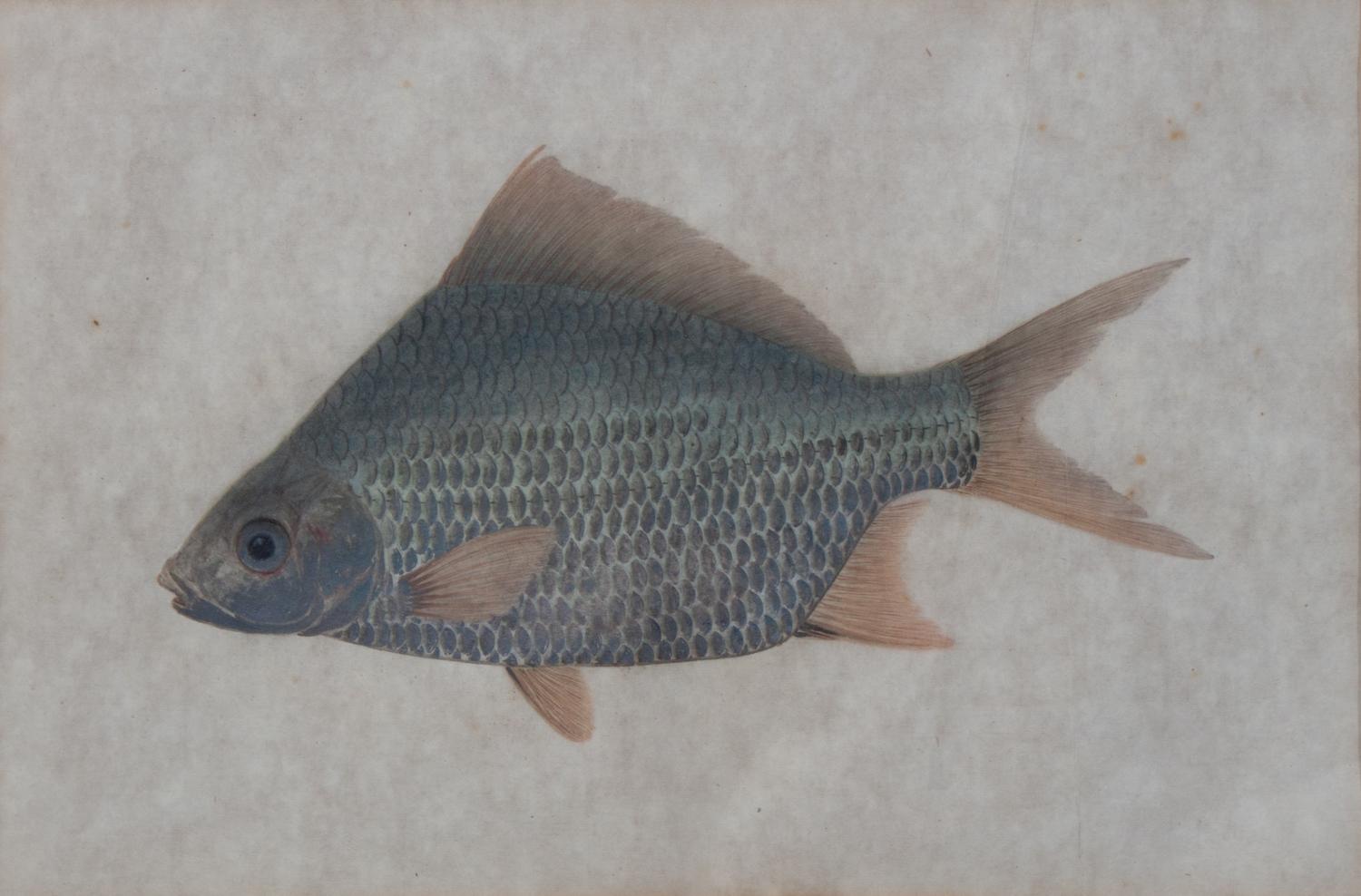 An Ink and Color Painting on Paper Visible: 8 x 12 inches.