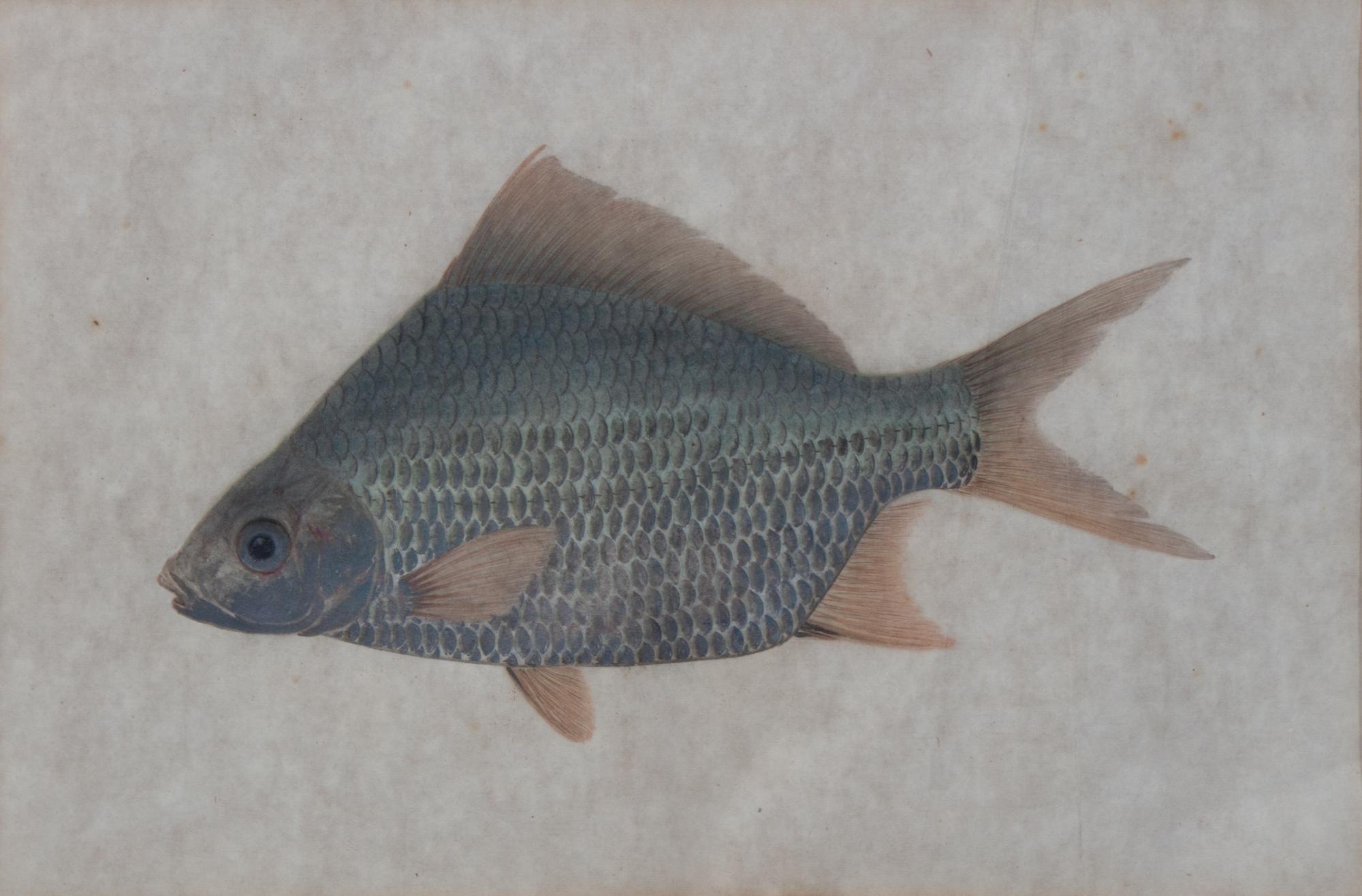 An Ink and Color Painting on Paper Visible: 8 x 12 inches.