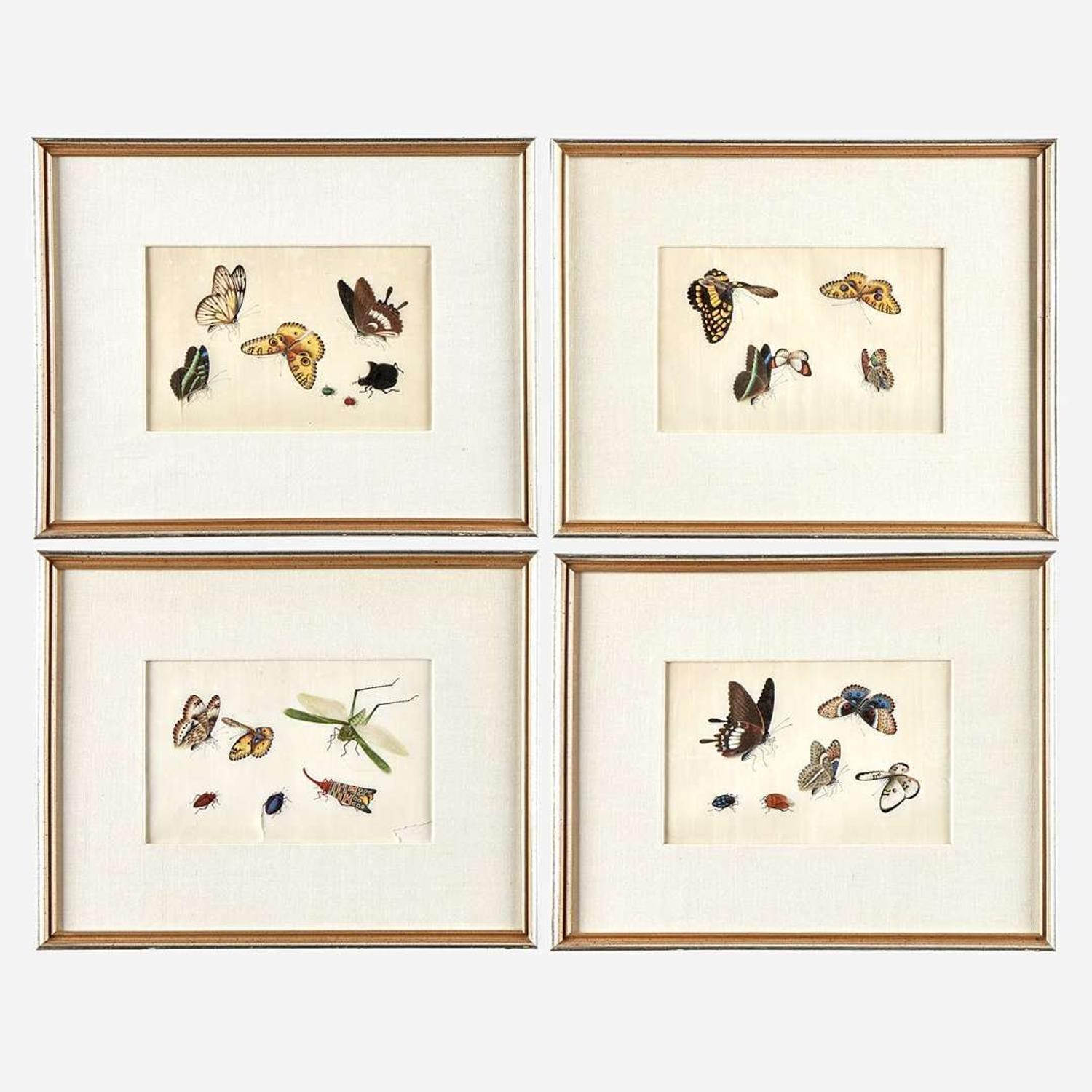 A Suite of Twelve Framed Chinese Export Paintings Sunqua (Chinese, active 1830-1870), Qing Dynasty