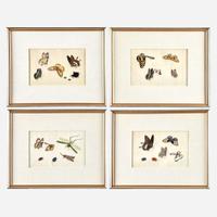 A Suite of Twelve Framed Chinese Export Paintings Sunqua (Chinese, active 1830-1870), Qing Dynasty