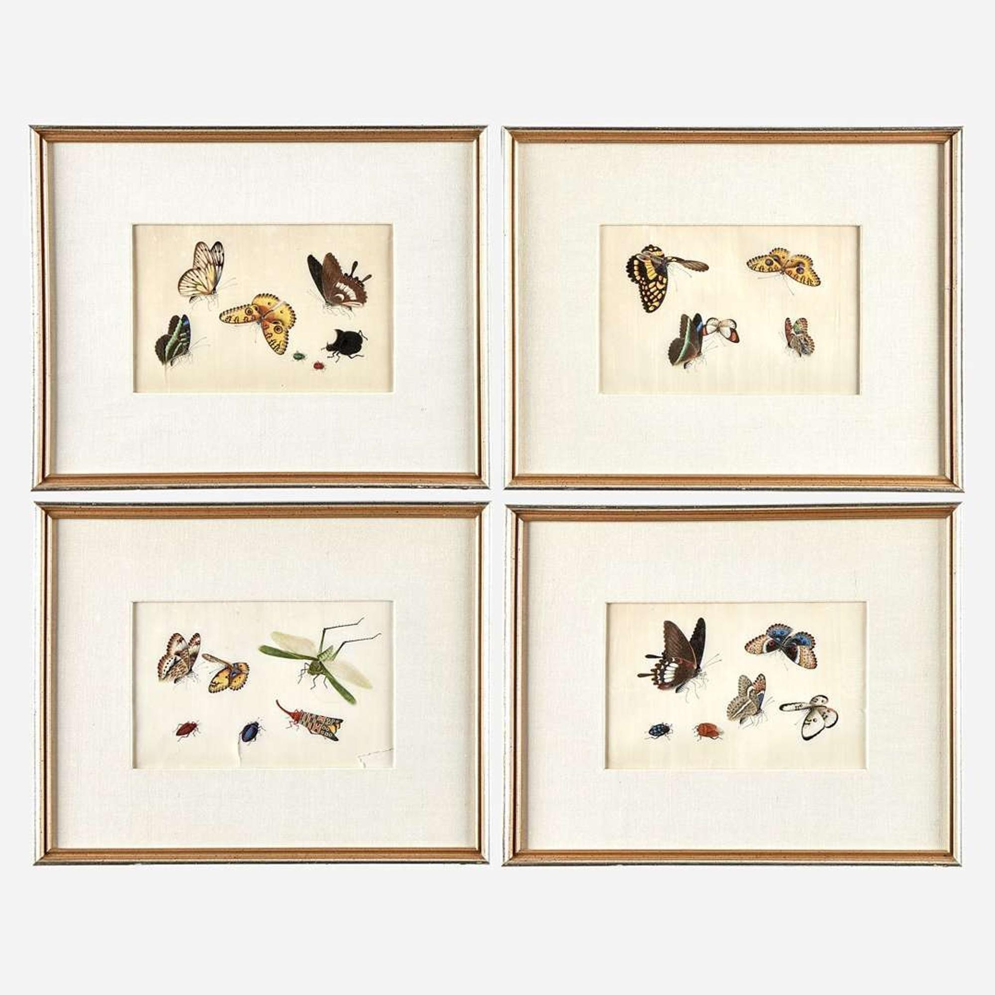 A Suite of Twelve Framed Chinese Export Paintings Sunqua (Chinese, active 1830-1870), Qing Dynasty