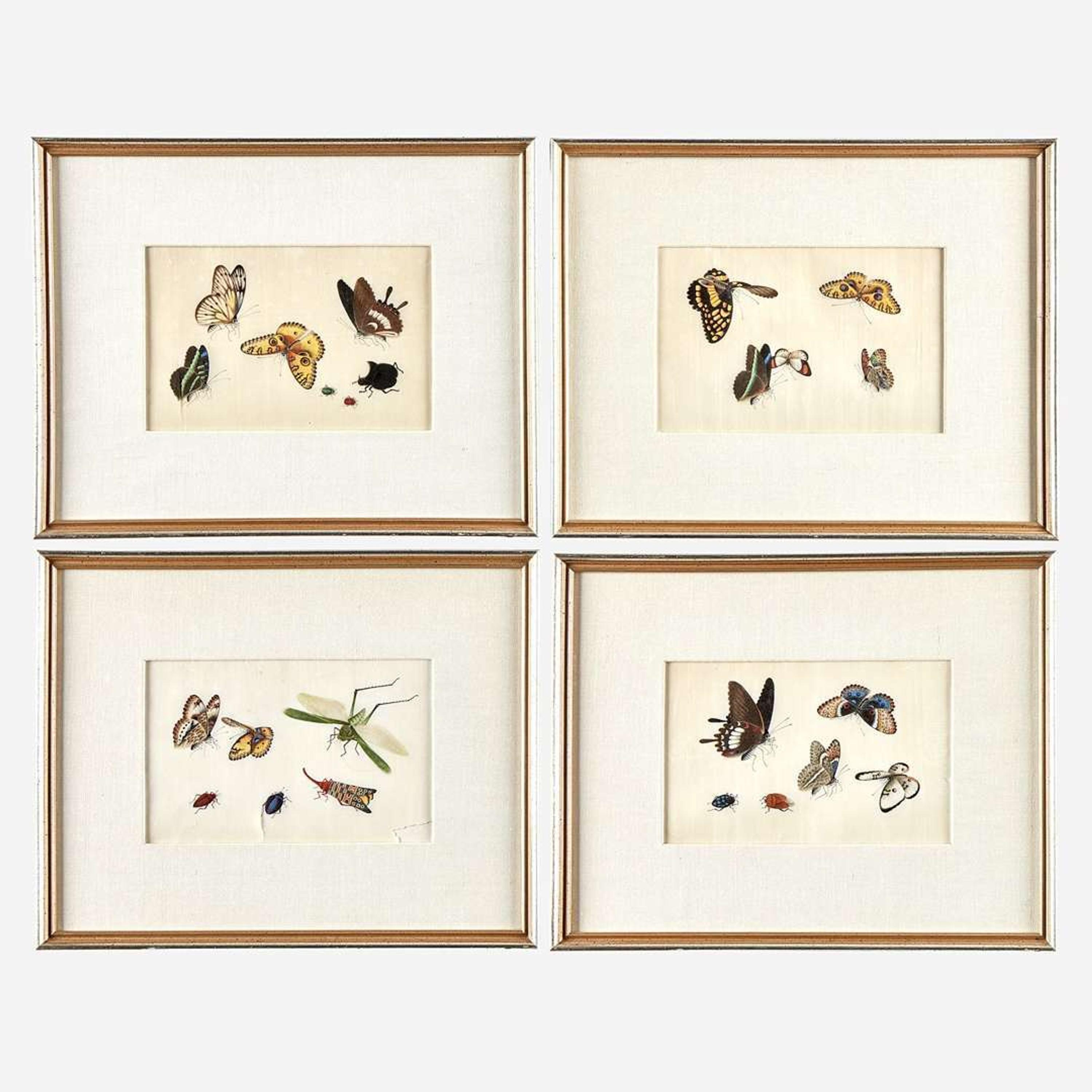 A Suite of Twelve Framed Chinese Export Paintings Sunqua (Chinese, active 1830-1870), Qing Dynasty