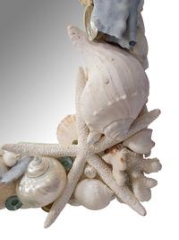 A Large Shellwork and Coral Encrusted Rectangular Mirror