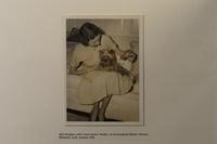 A Group of Duke and Duchess of Windsor Pug Related Items