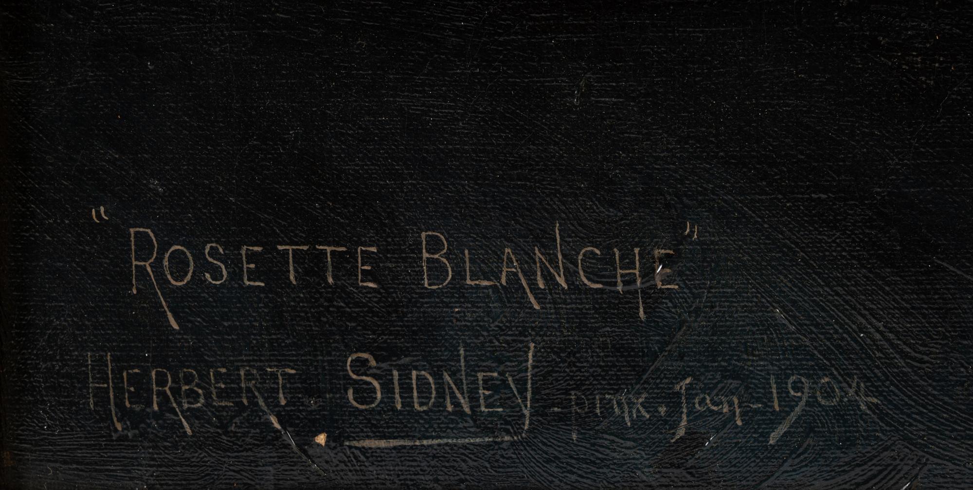 Mrs. Cleveland Greenway's "Rosette Blanche" (Zita)