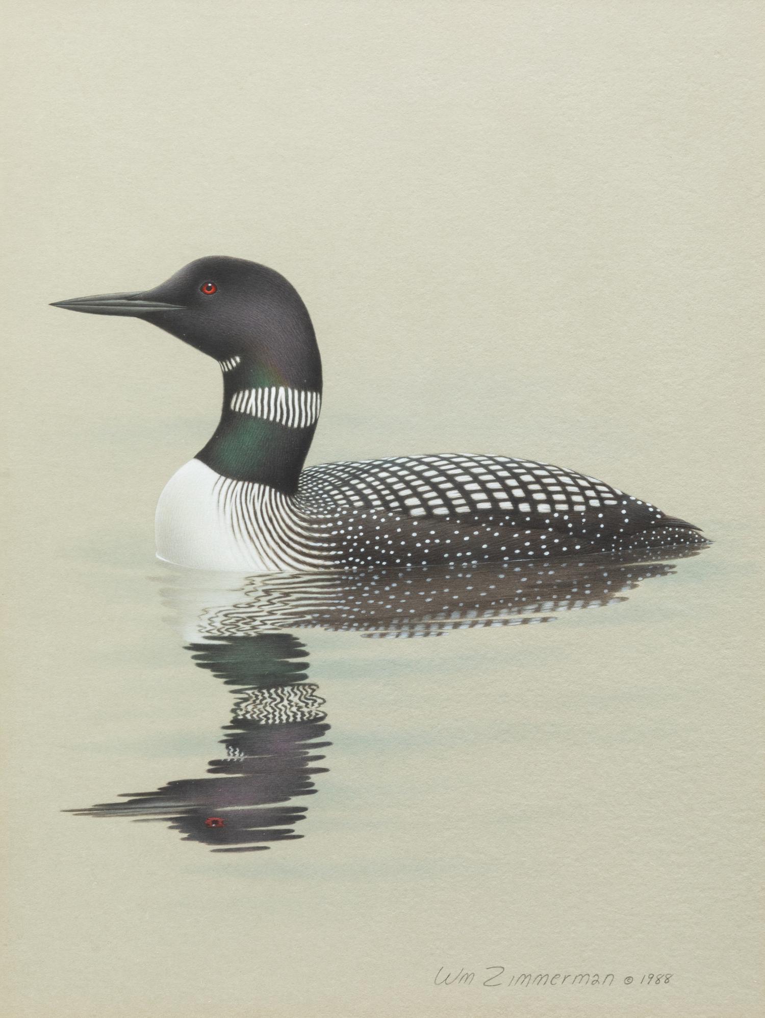 Group of Nine Works, American Bird Series, 1988