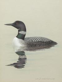 Group of Nine Works, American Bird Series, 1988