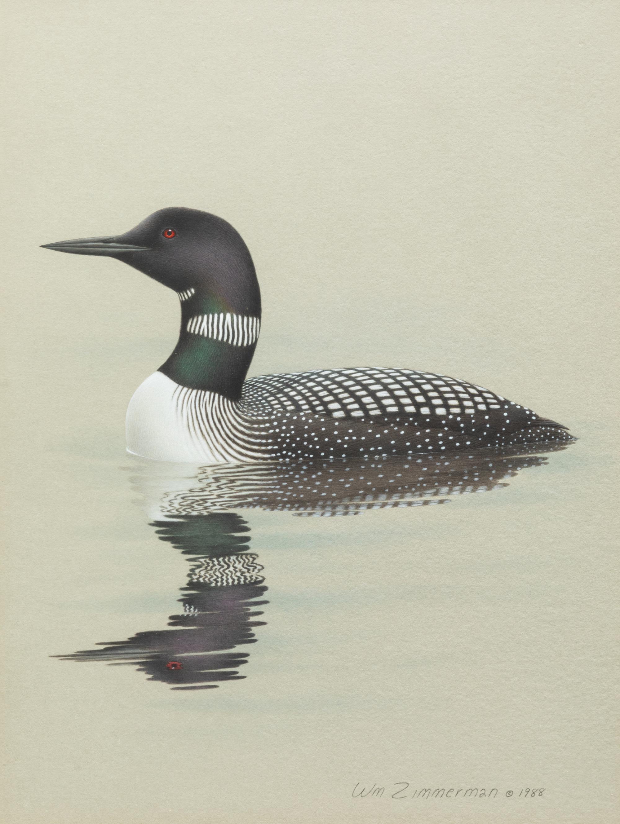 Group of Nine Works, American Bird Series, 1988