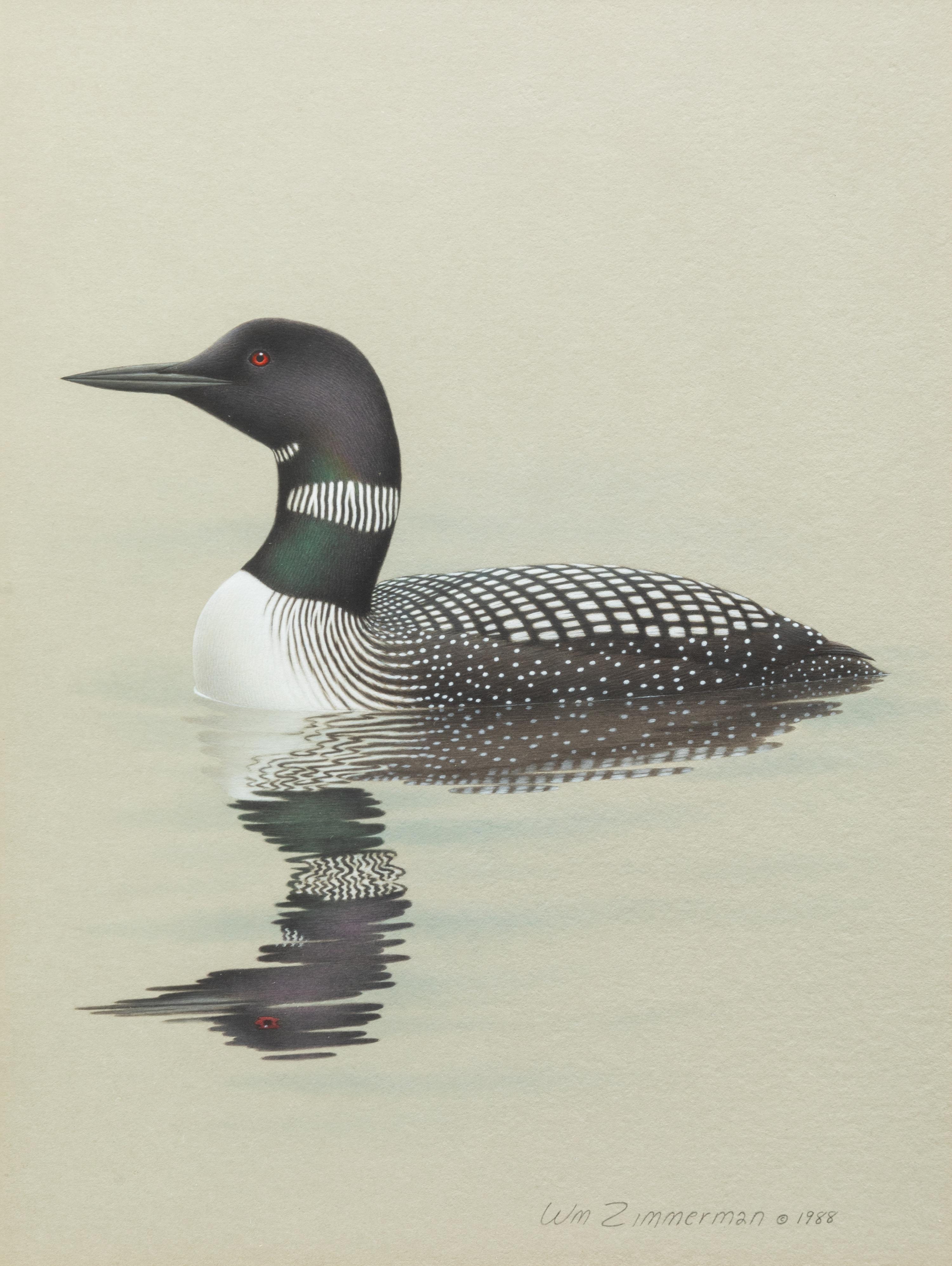 Group of Nine Works, American Bird Series, 1988