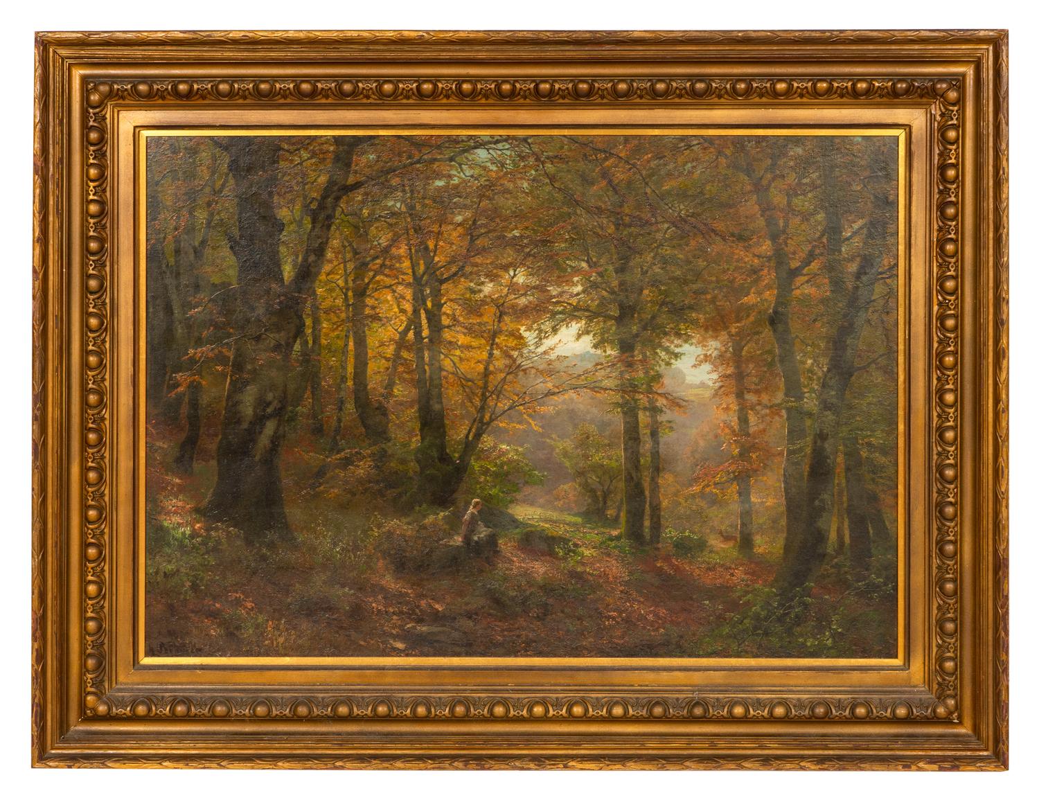 A Woodland Glade