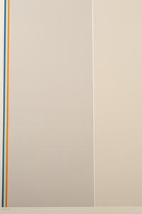 Homage to Barnett Newman