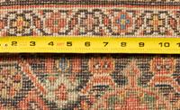 A Mahal Carpet