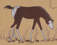 untitled, Horse and Buffalo Skull