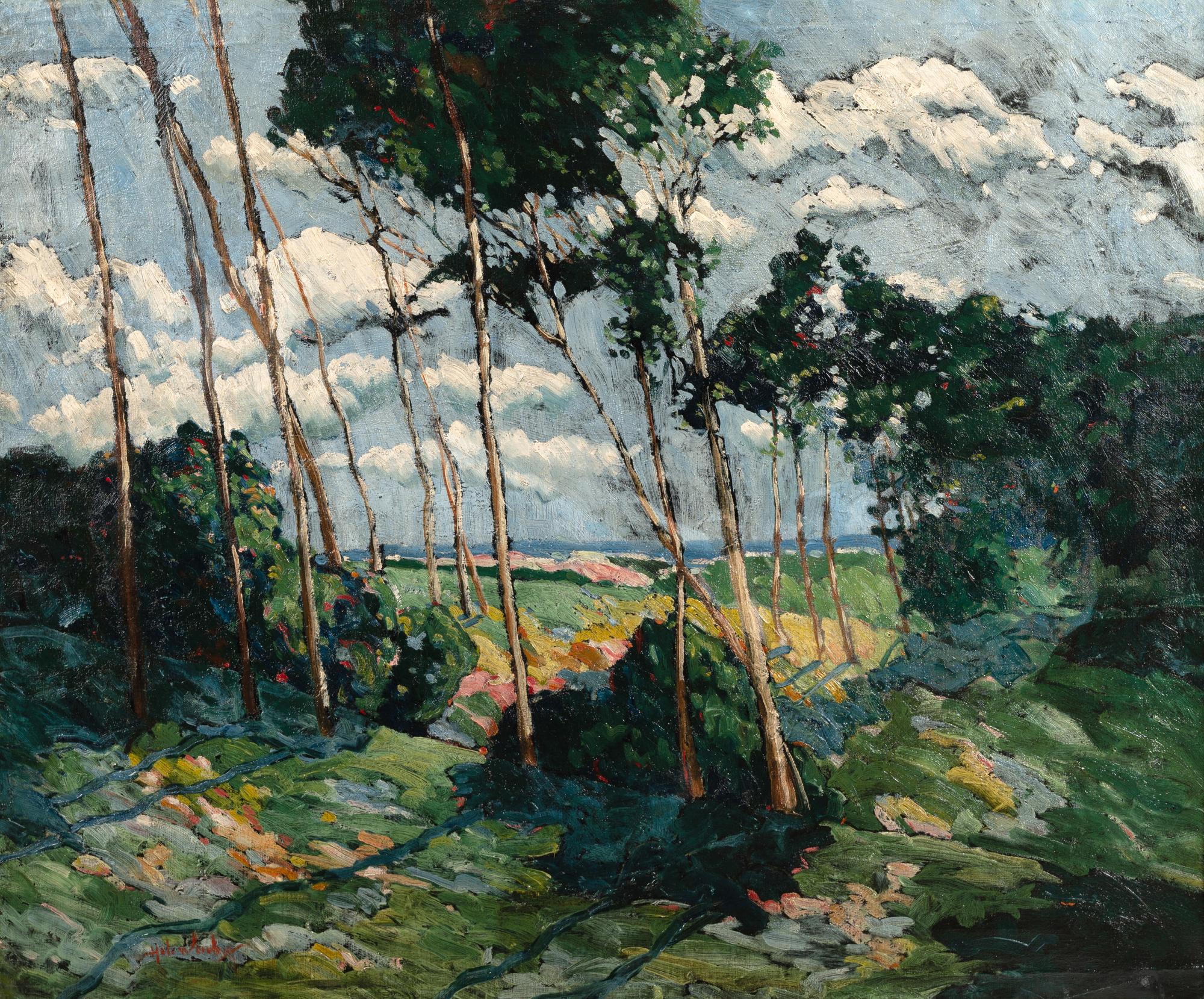 Windblown Trees