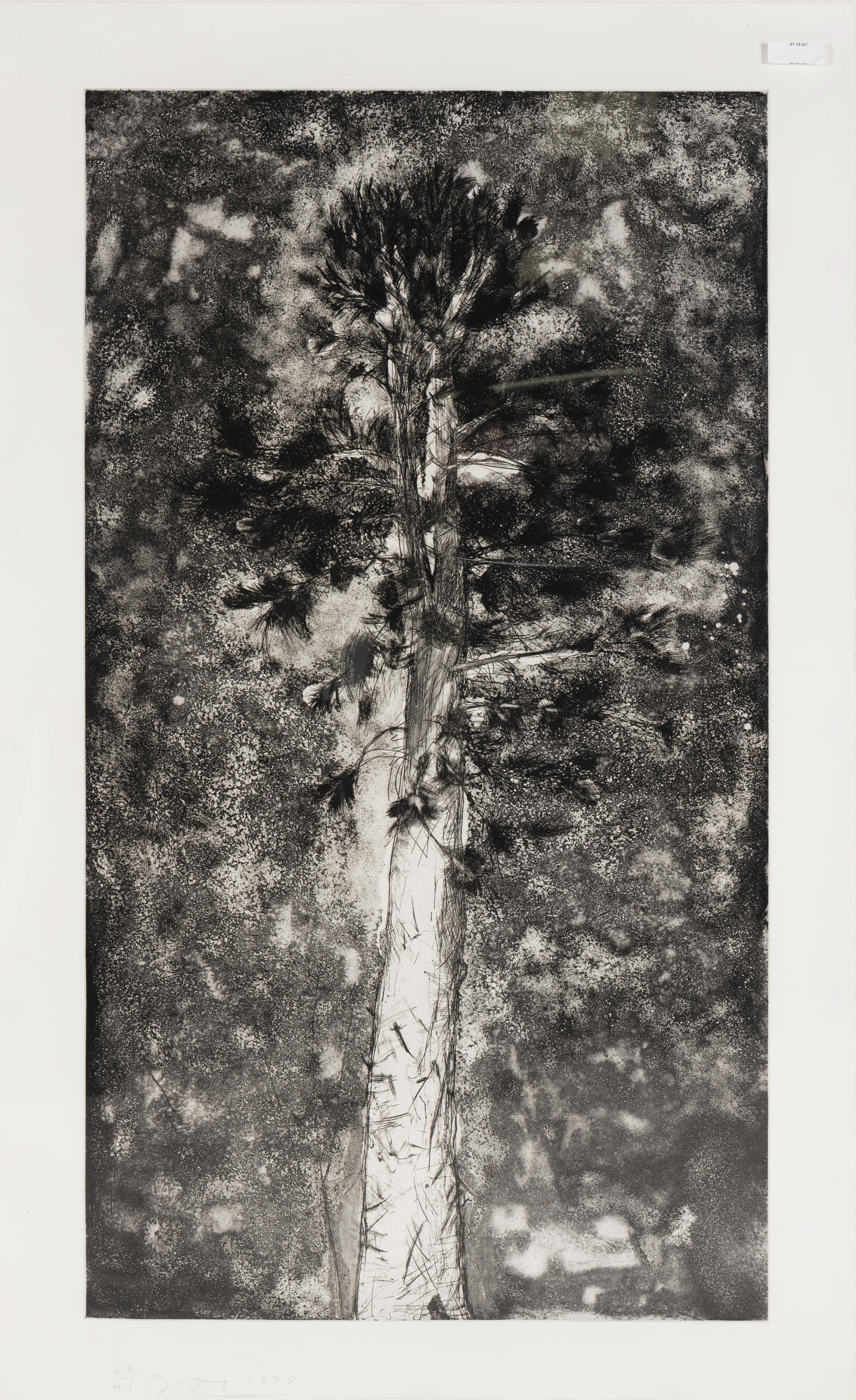 The Pine in a Storm of Aquatint