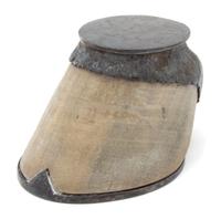 A Silver Plate Mounted Horse Hoof Ink Well Height 3 1/4 inches.