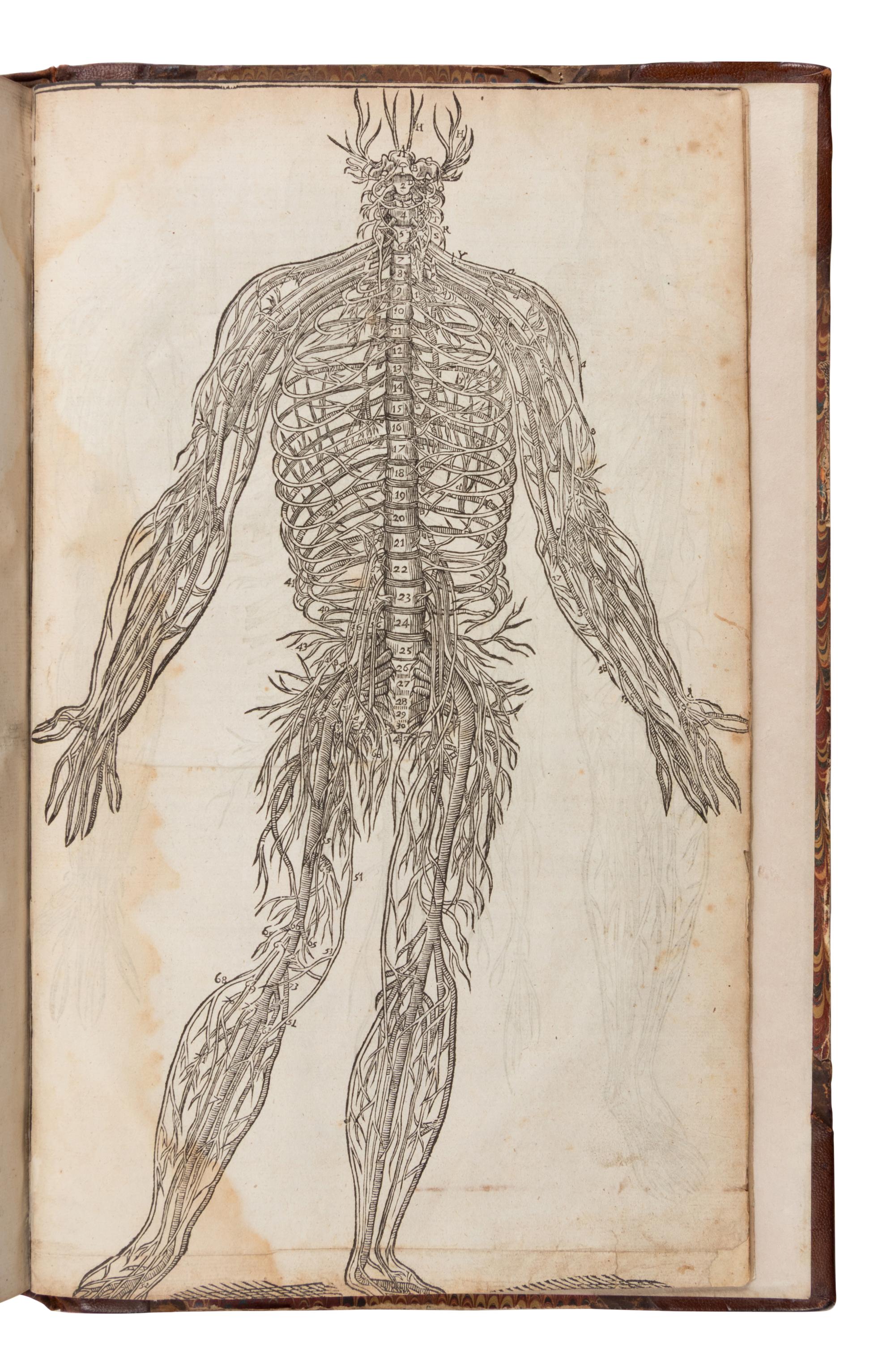 [Science & Medicine]. Pare, Ambroise (1510?-1590). The Workes of that Famous Chirurgion Ambrose Parey . London: Printed by Richard Cotes and Willi: Du-gard, to be sold by John Clarke, 1649.