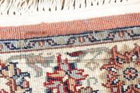 An Indian Wool Runner