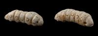 Two Chinese Jade Silkworms