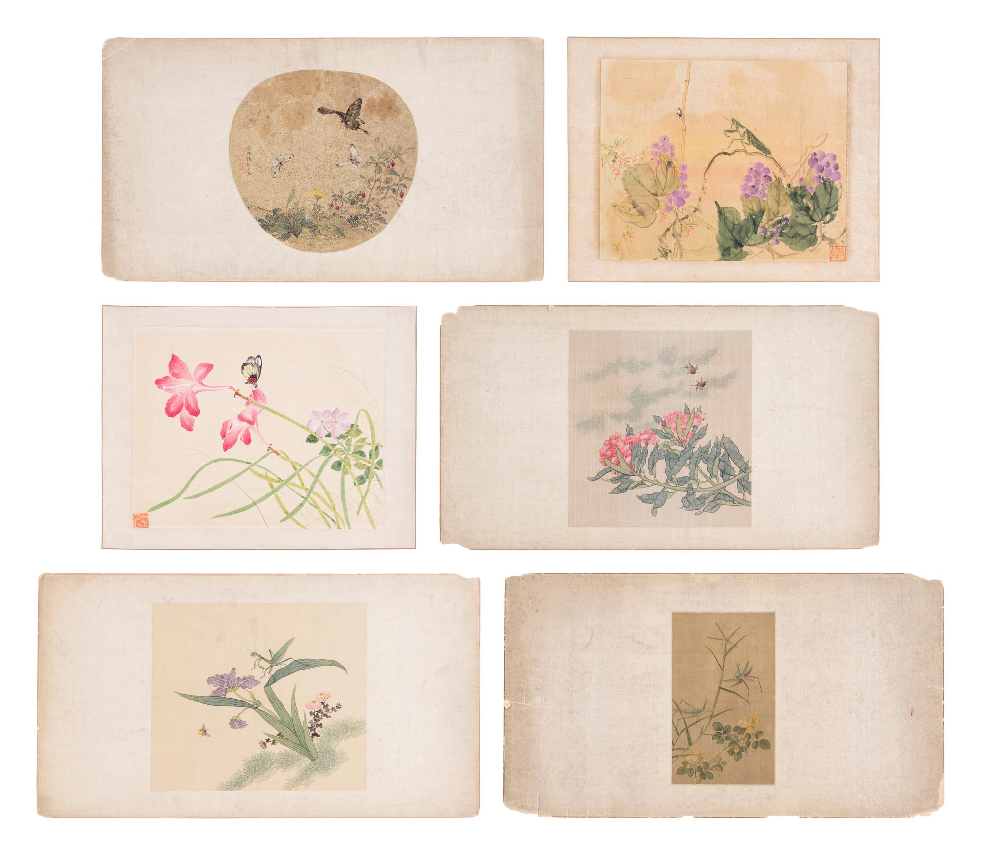 Six Chinese Paintings Depicting Flowers