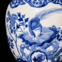 A Pair of Chinese Blue and White Porcelain 'Peonies and Pheasant' Ginger Jars, Guangxu Period 清光緒 青花牡丹錦鷄圖蓋罐一對